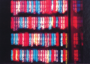 bruce nauman
