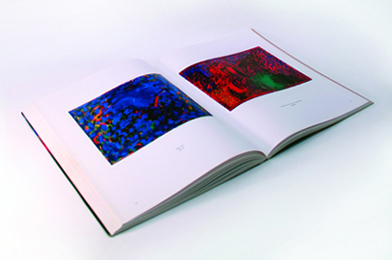 howard hodgkin